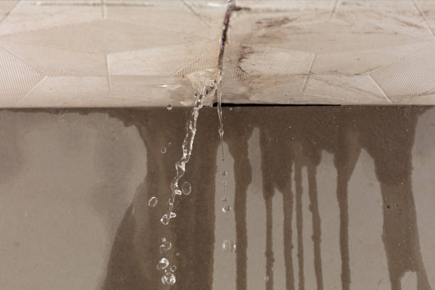 Professional Flood Damage Cleanup technician working in Brigham City, UT